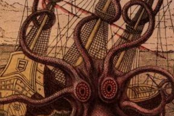 Kraken org